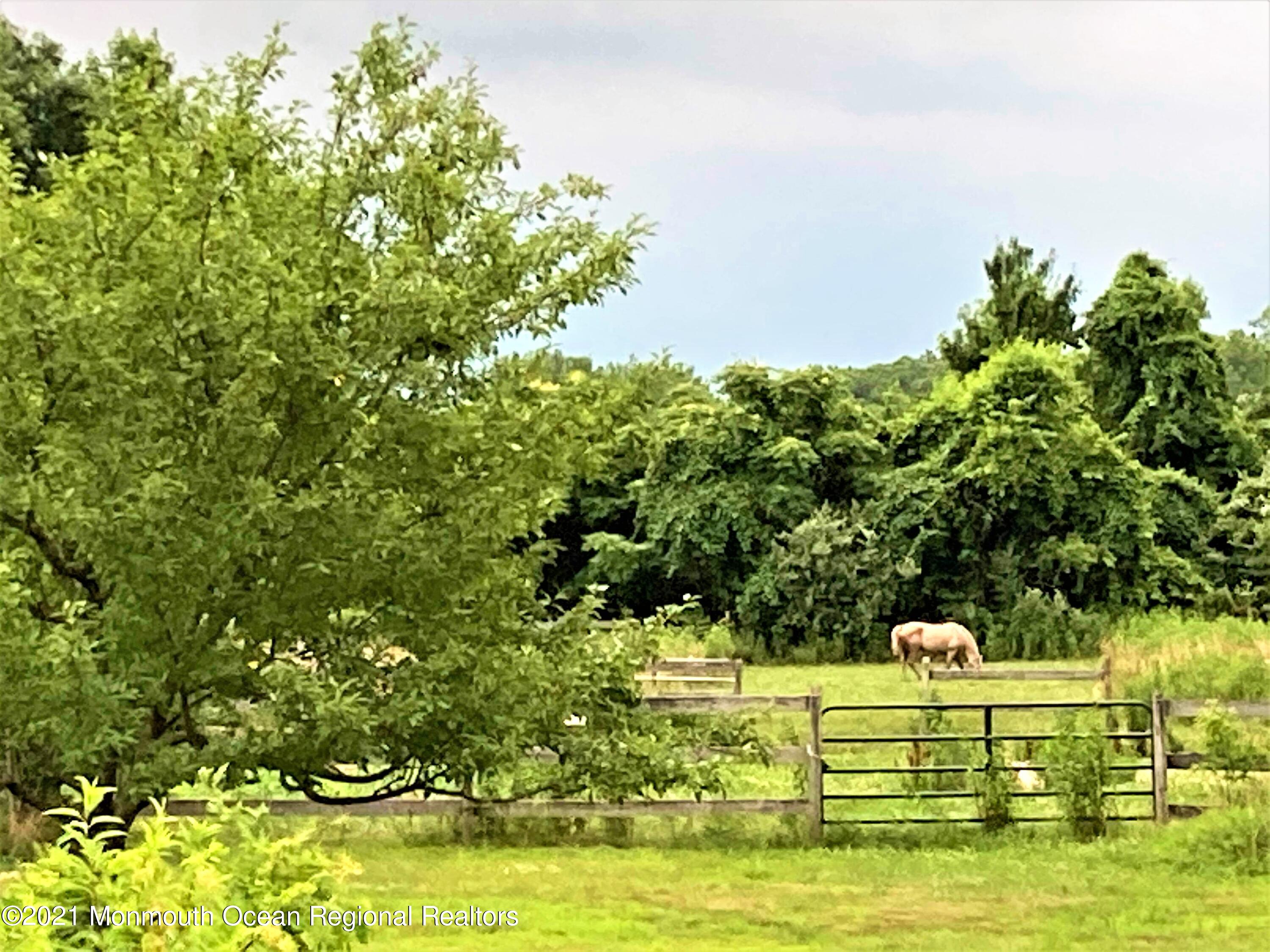 16 Province Line Road New Egypt, NJ 08533 - Photo 11 of 19 a garden view