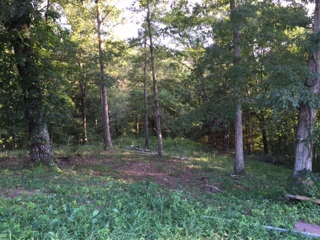 0 Richardson Spur Road Summer Shade, KY 42166 - Photo 1 of 2 Gallery Image 1