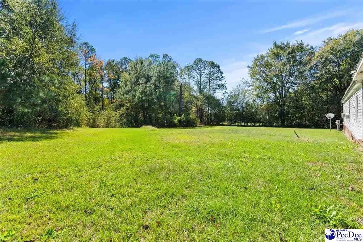 3016 Ridgecrest Road Wallace, SC 29596 - Photo 32 of 38 Gallery Image 32