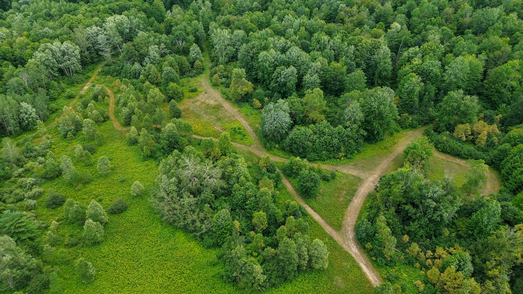 17219 7 Mile Road Reed City, MI 49677 - Photo 57 of 68 X Mid