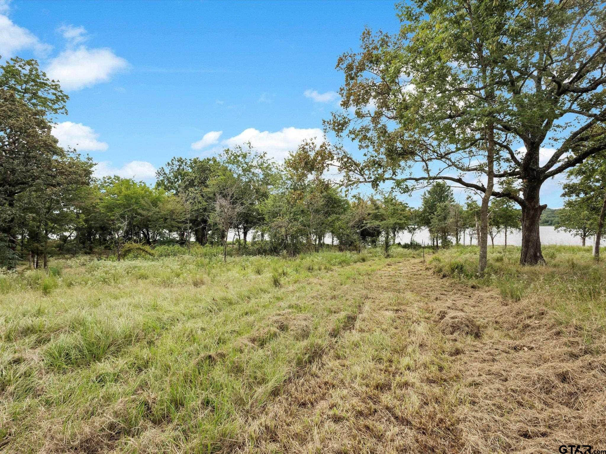 Tbd Tbd Anglers Point Emory, TX 75440 - Photo 12 of 27