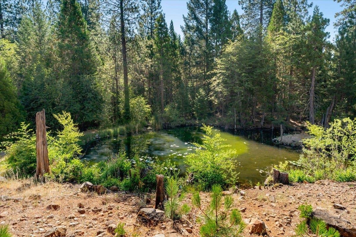 4140 Columbine Road Weed, CA 96094 - Photo 29 of 41 Gallery Image 29