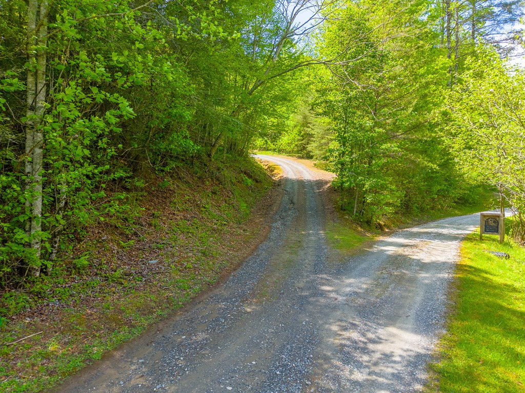 1364 Atoah Road Robbinsville, NC 28771 - Photo 53 of 71