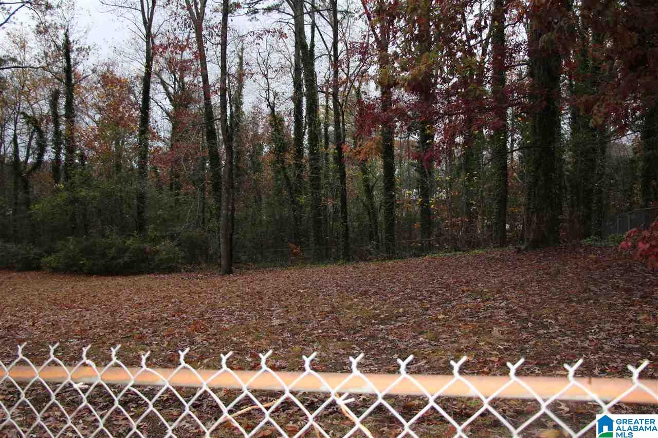 3617 Dale Hollow Road Anniston, AL 36207 - Photo 33 of 35