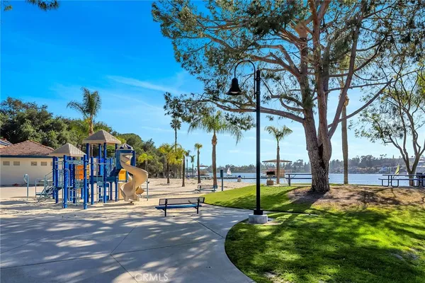 a view of a park with palm trees