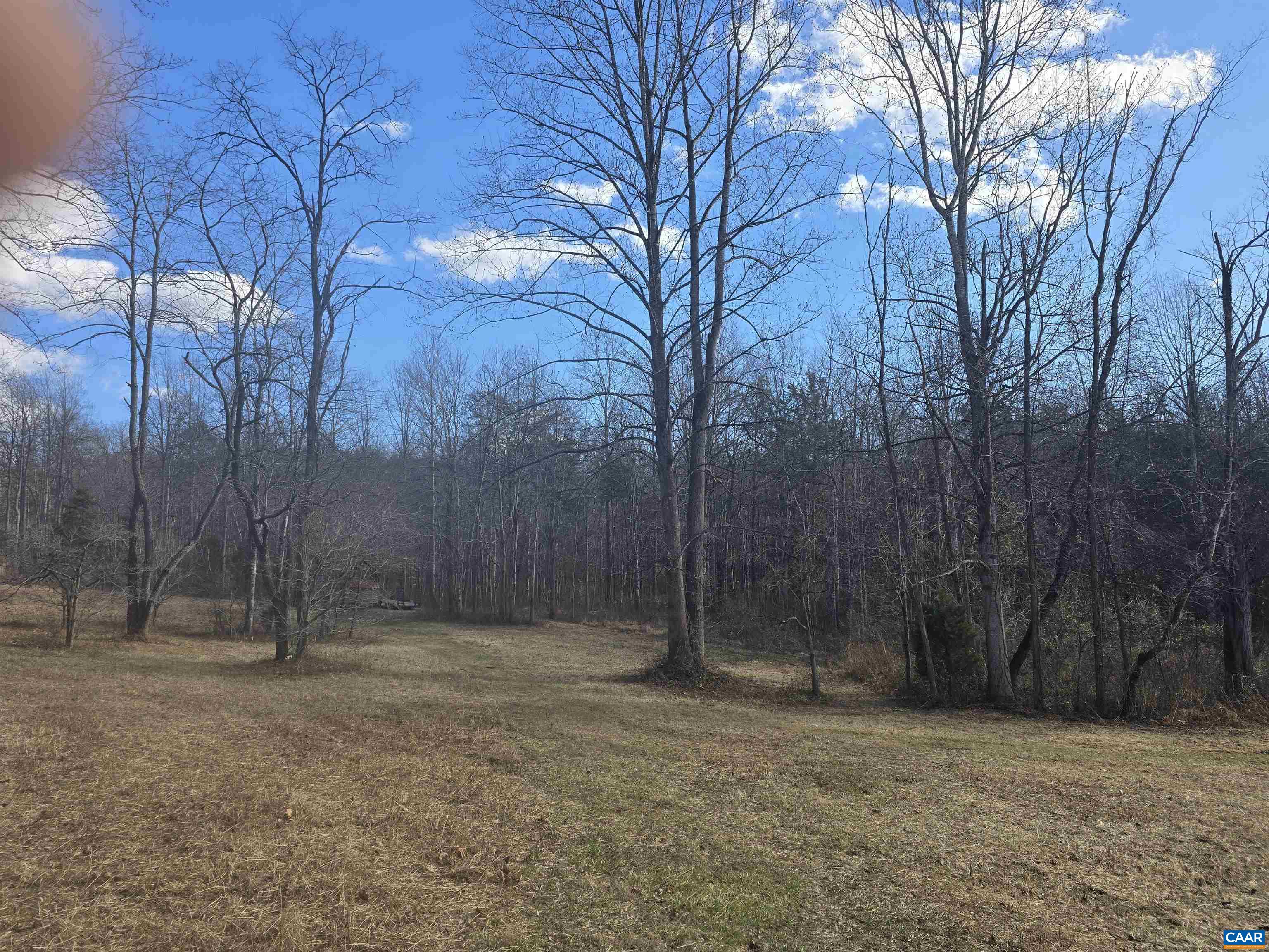 Lot C Sycamore Lane Ruckersville, VA 22968 - Photo 3 of 3