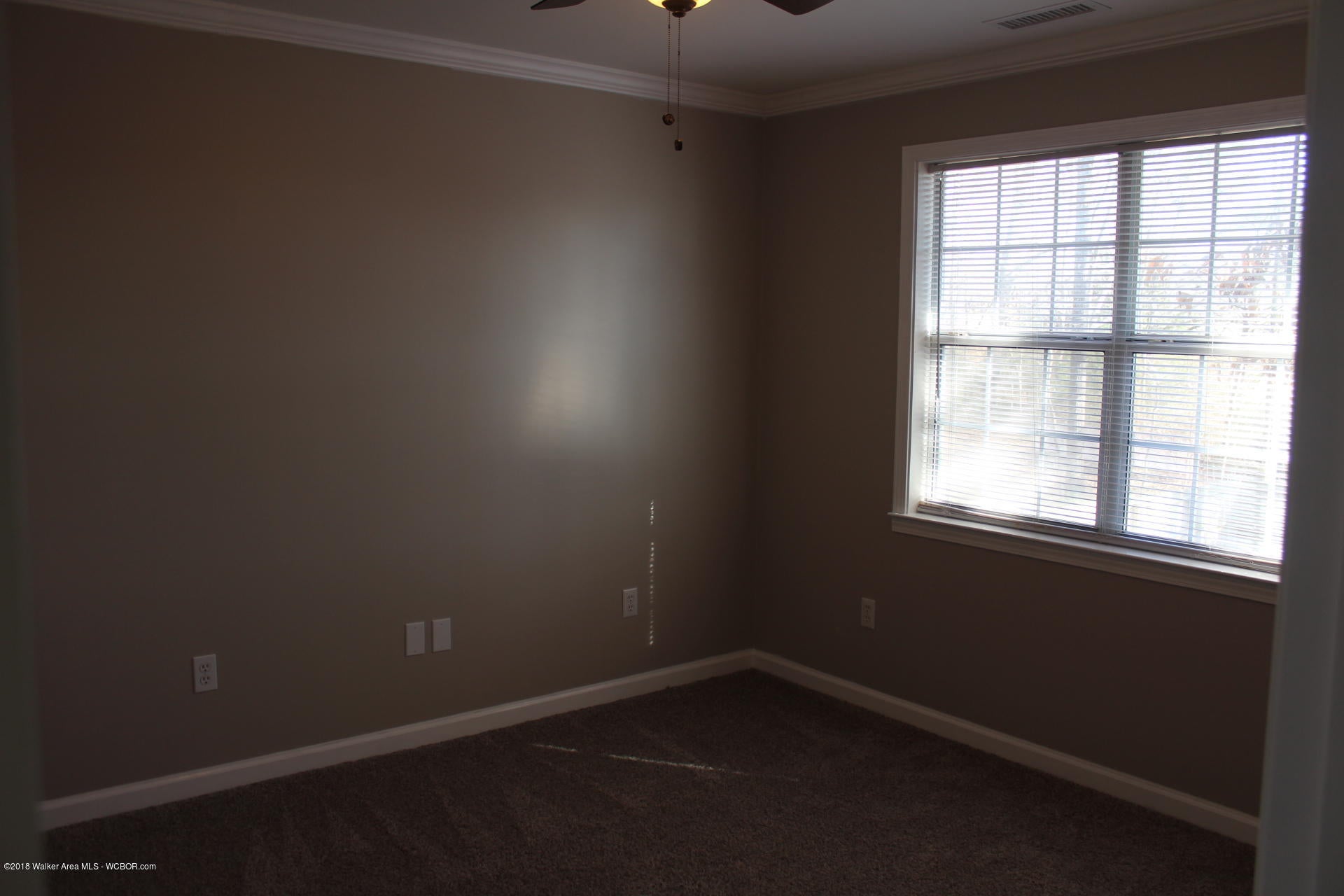 3802 North Walston Bridge Road Jasper, AL 35504 - Photo 20 of 30 Gallery Image 20