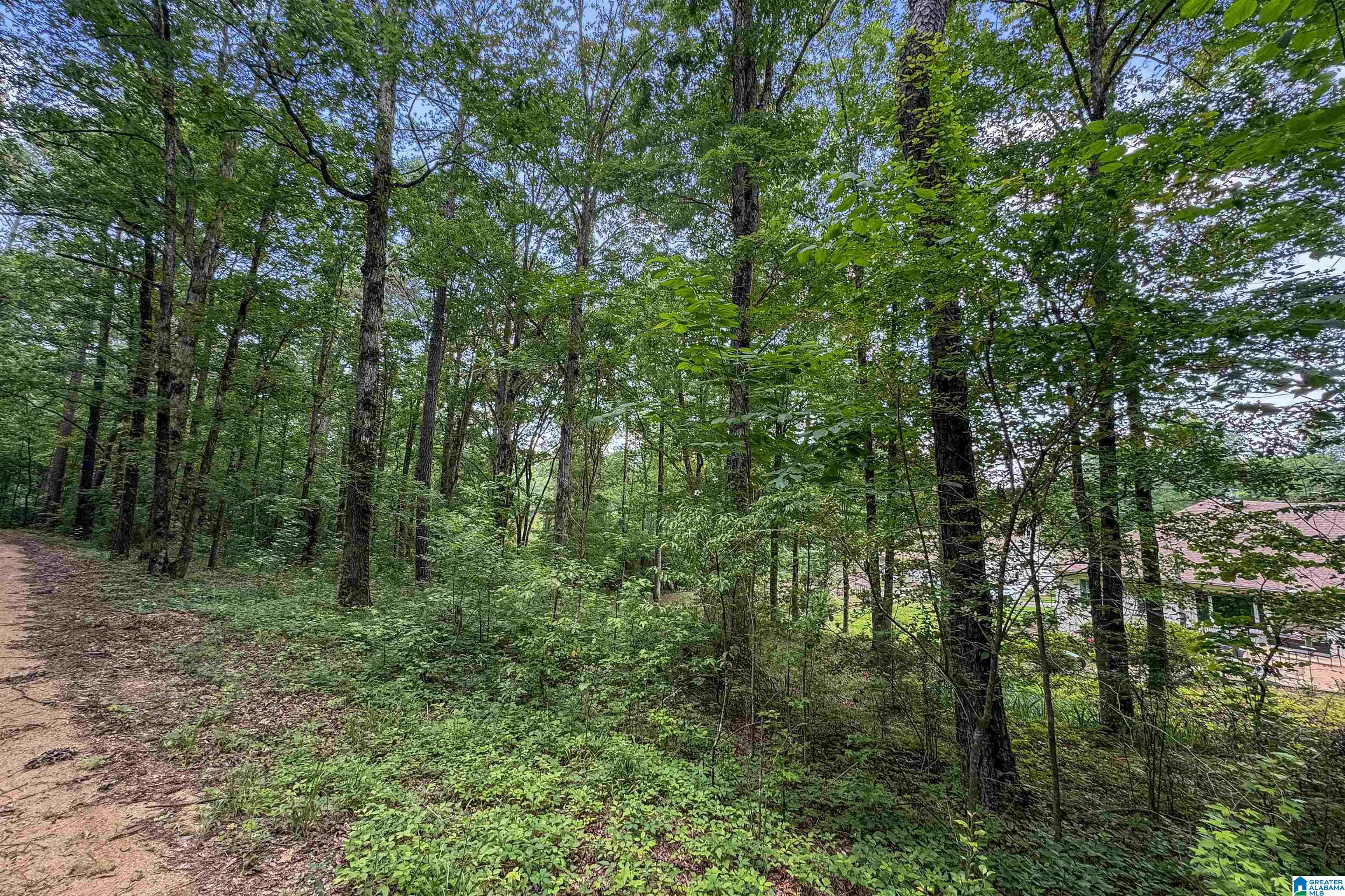 0 Red Oak Circle Helena, AL 35080 - Photo 13 of 21