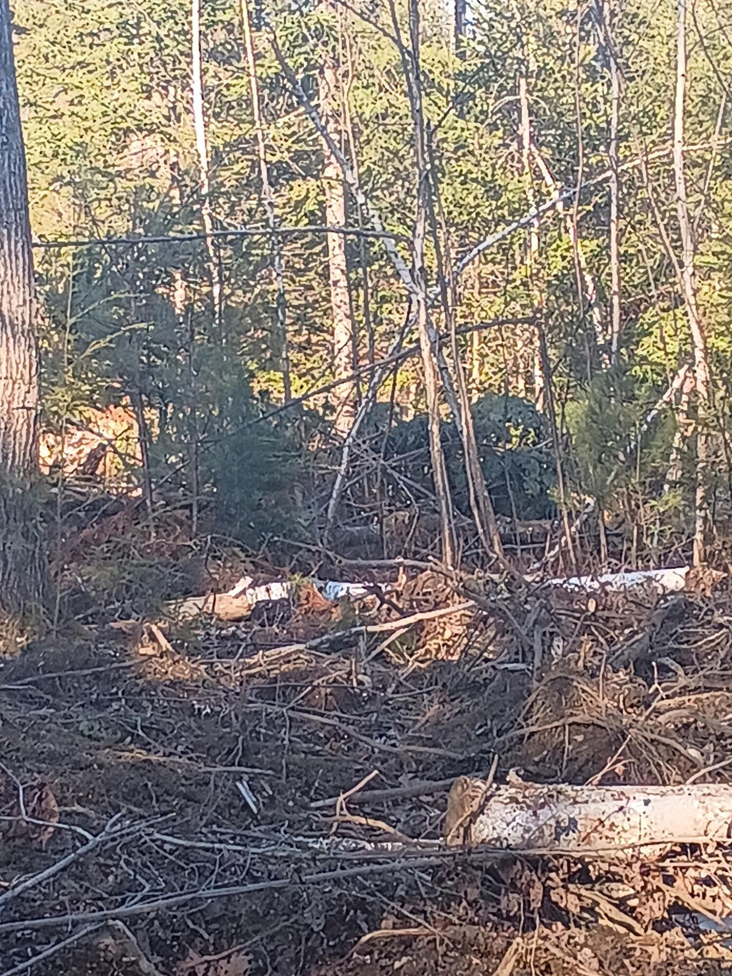 848 Old Stage Road Woolwich, ME 04579 - Photo 4 of 10 2054649102371539248