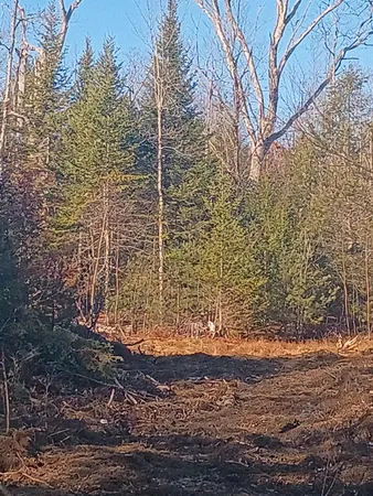 $120,000 | 848 Old Stage Road, Woolwich, ME 04579