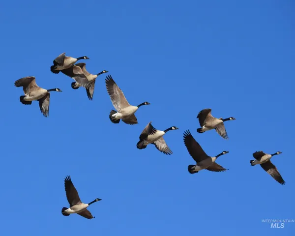 $3,375,000 | 2117 Weiser River Road, Weiser, ID 83672