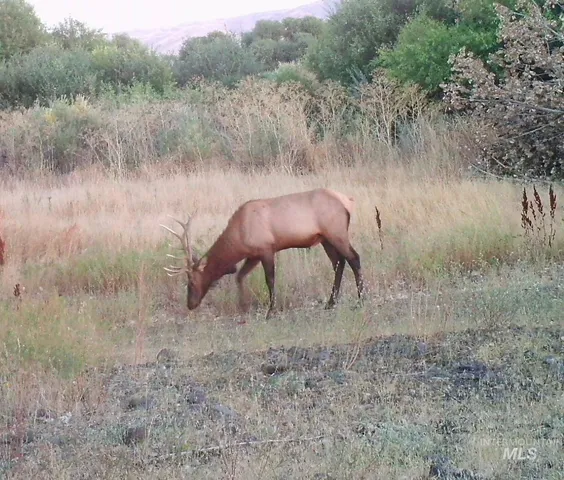 $3,375,000 | 2117 Weiser River Road, Weiser, ID 83672