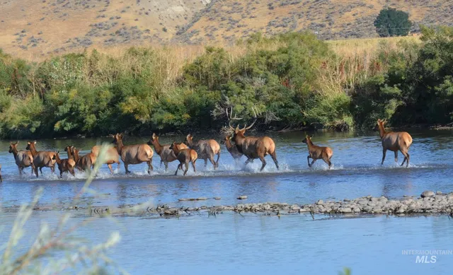 $3,375,000 | 2117 Weiser River Road, Weiser, ID 83672