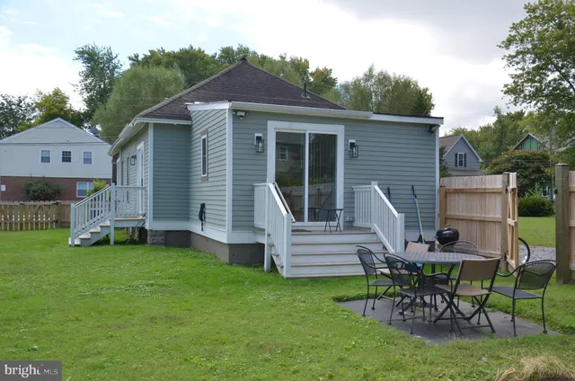 a view of a street with potted plants and a large tree