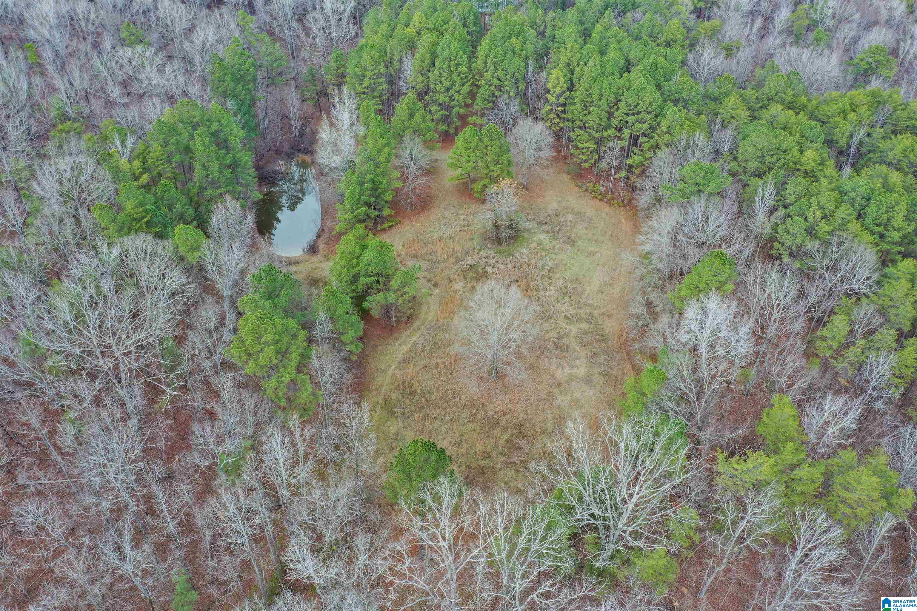 345 Brown Road Calera, AL 35040 - Photo 77 of 88 Gallery Image 77