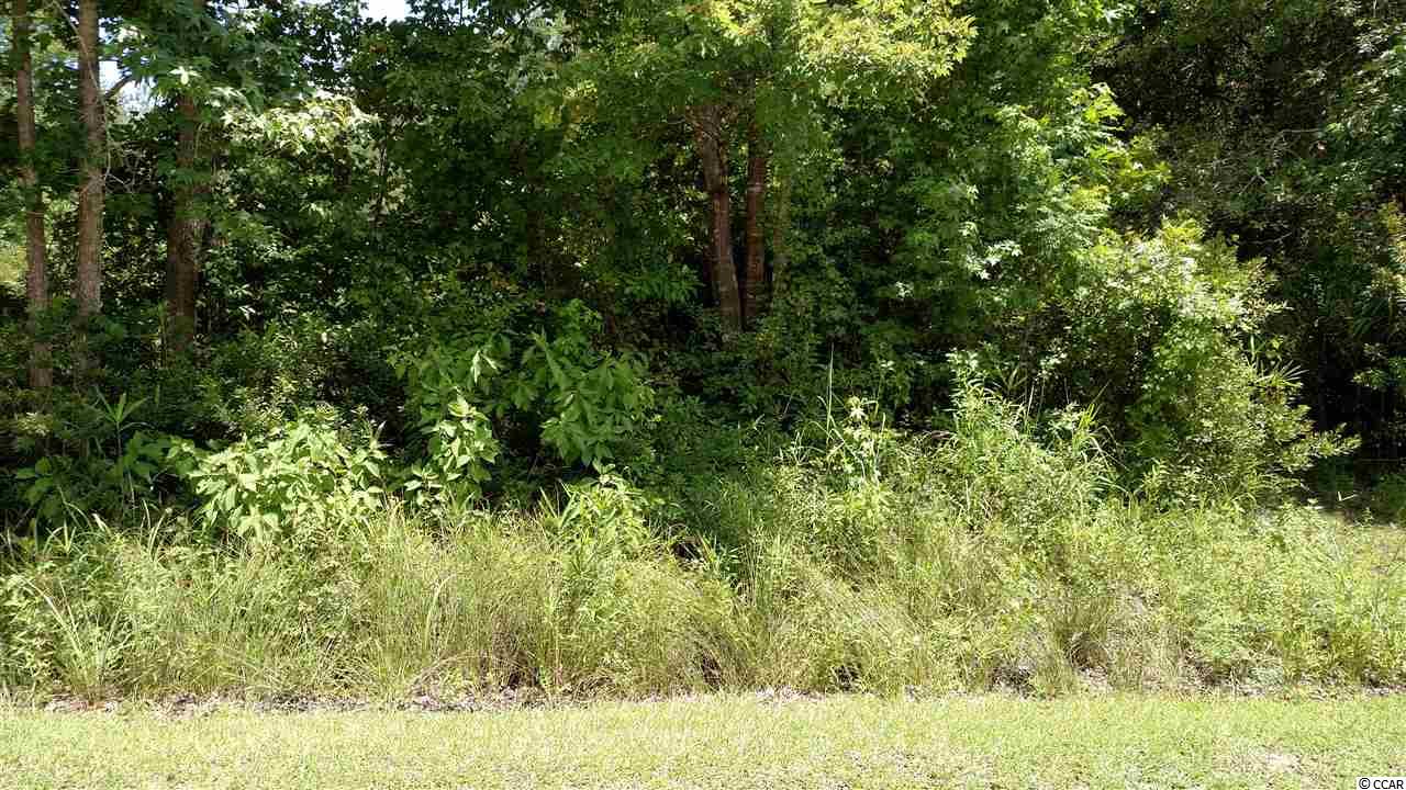 56 Cree Trail Georgetown, SC 29440 - Photo 1 of 3 Gallery Image 1