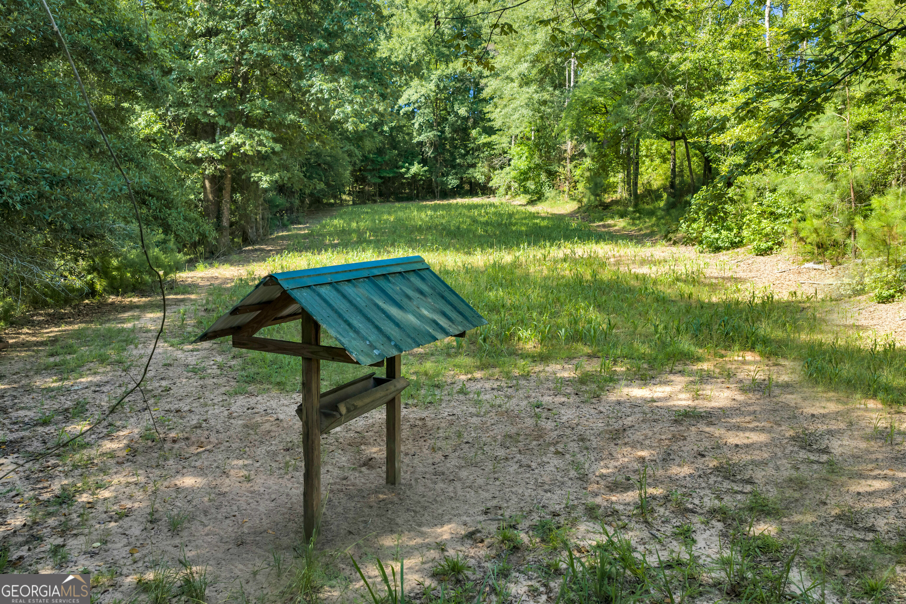 100 Bussey Place Road Morris, GA 39867 - Photo 79 of 174 Gallery Image 79