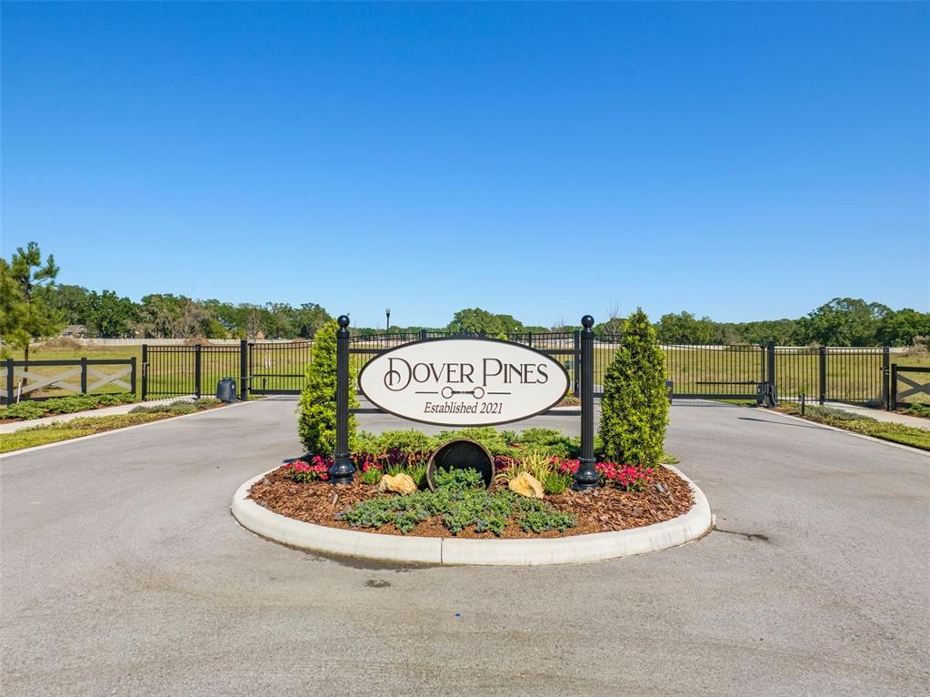 14282 Pine Straw Court Dover, FL 33527 - Photo 1 of 15 a view of a street with a ocean view