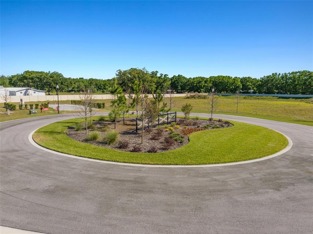 14282 Pine Straw Court Dover, FL 33527 - Photo 15 of 15 a view of a swimming pool with outdoor space and seating area