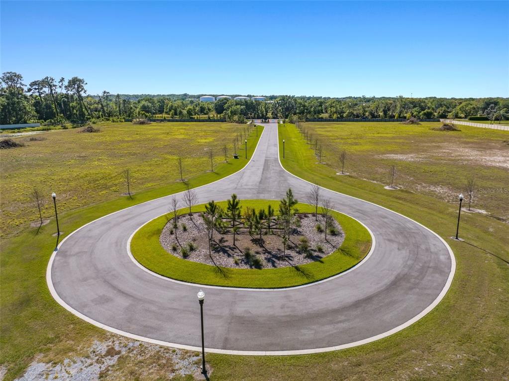 14282 Pine Straw Court Dover, FL 33527 - Photo 2 of 15 a view of a swimming pool with an ocean view