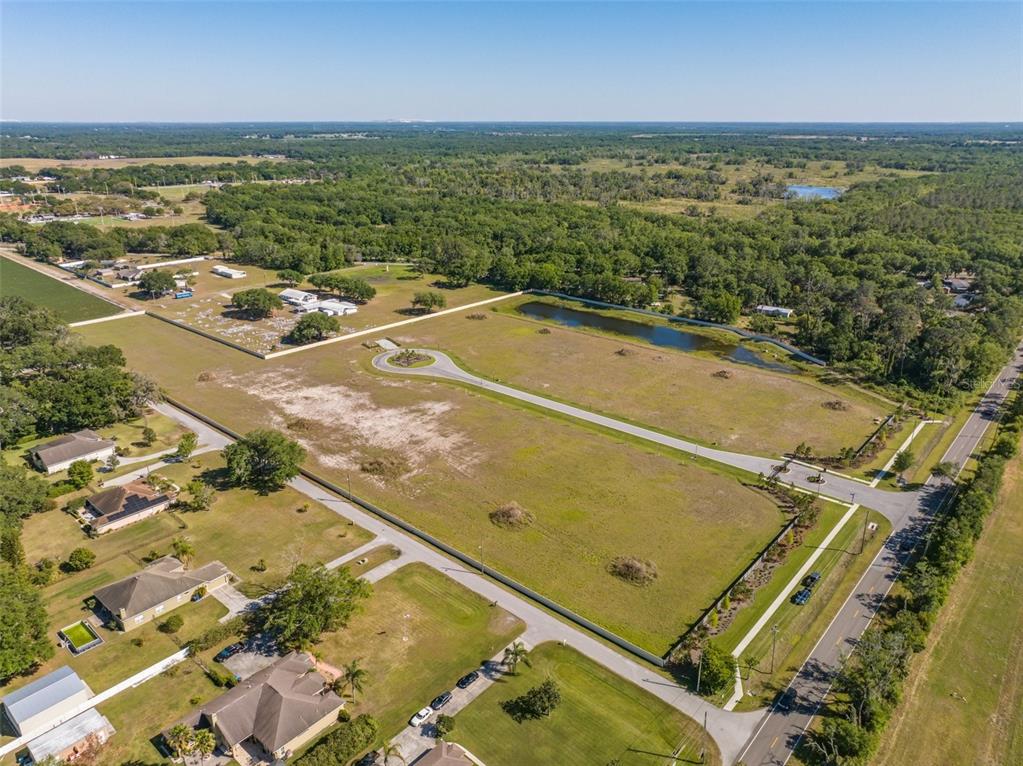 14282 Pine Straw Court Dover, FL 33527 - Photo 9 of 15 an aerial view of residential houses with outdoor space