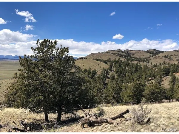 $20,000 | 11 Willow Street, Hartsel, CO 80449