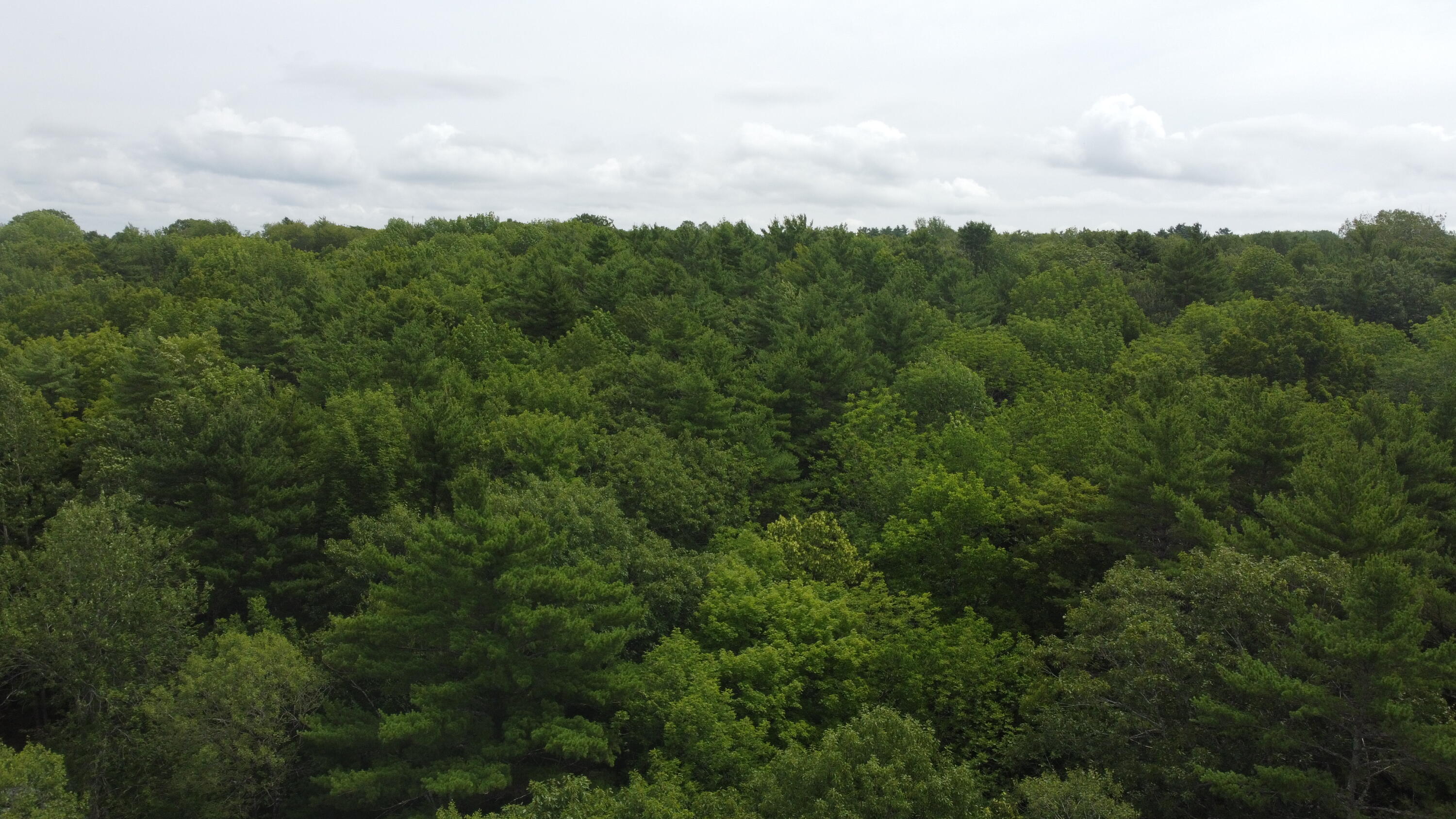 2-b1 & 2b2 East Pittston Road Dresden, ME 04342 - Photo 3 of 19 dji_fly_20260721_111232_817_178464678124