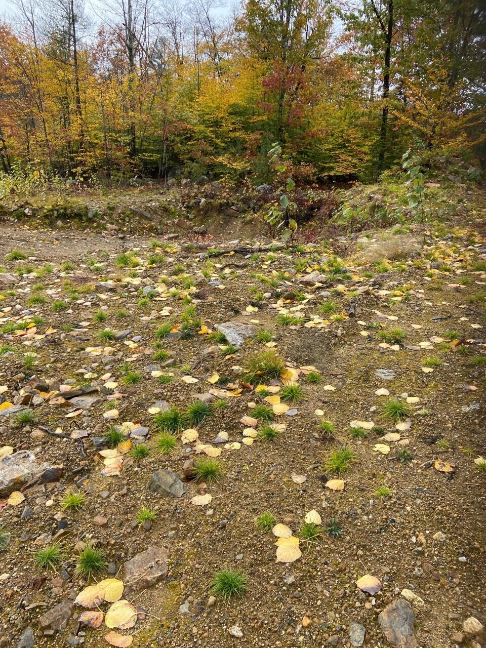 42 Maple Ridge Lane Lebanon, ME 04027 - Photo 13 of 32 Land