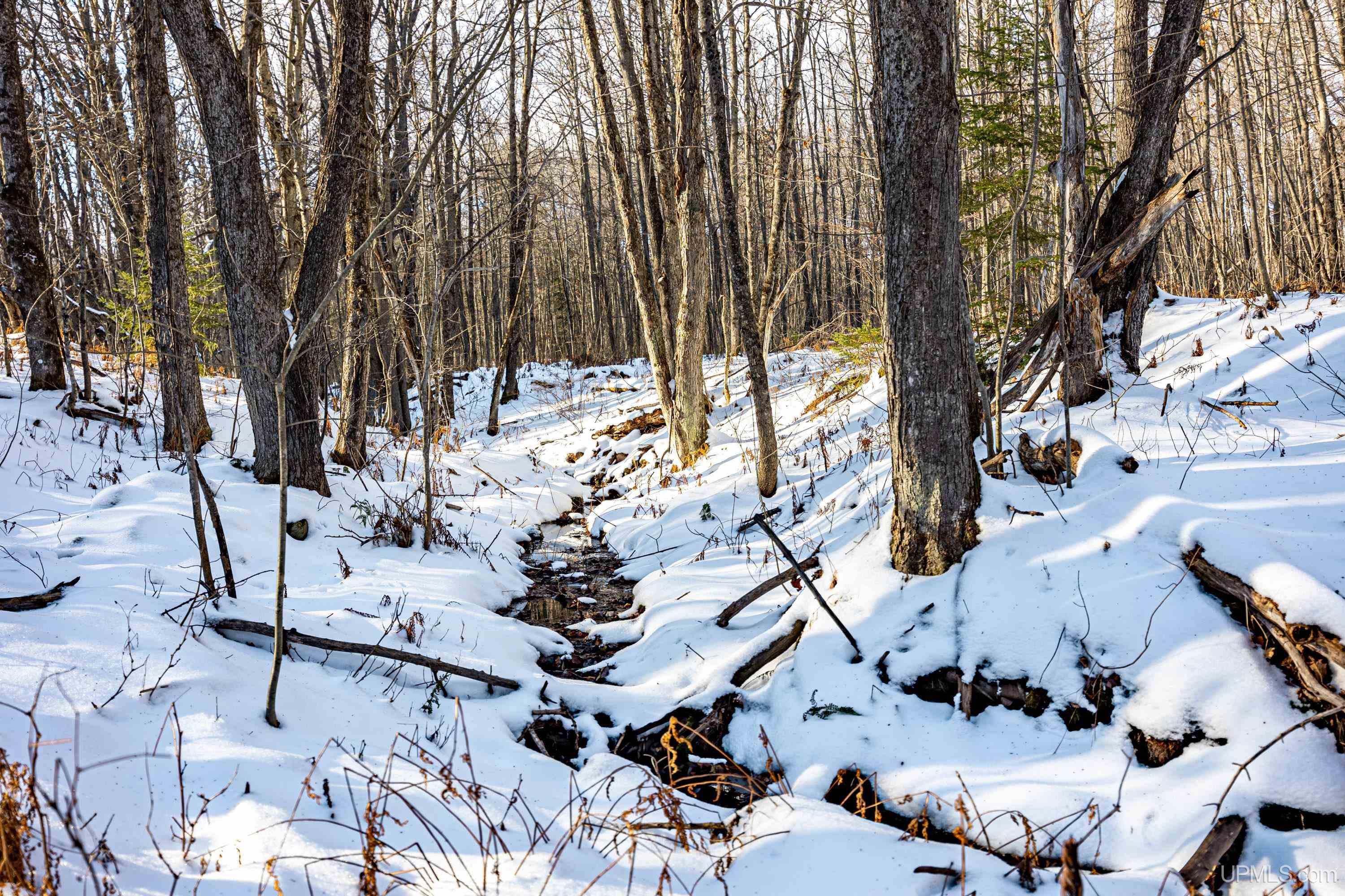 Tbd Lehtola Road Chassell, MI 49916 - Photo 18 of 59 Gallery Image 18