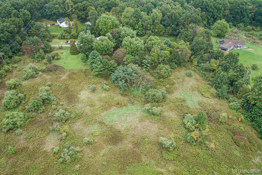 Vac Rattalee Lake Road Davisburg, MI 48350 - Photo 11 of 22