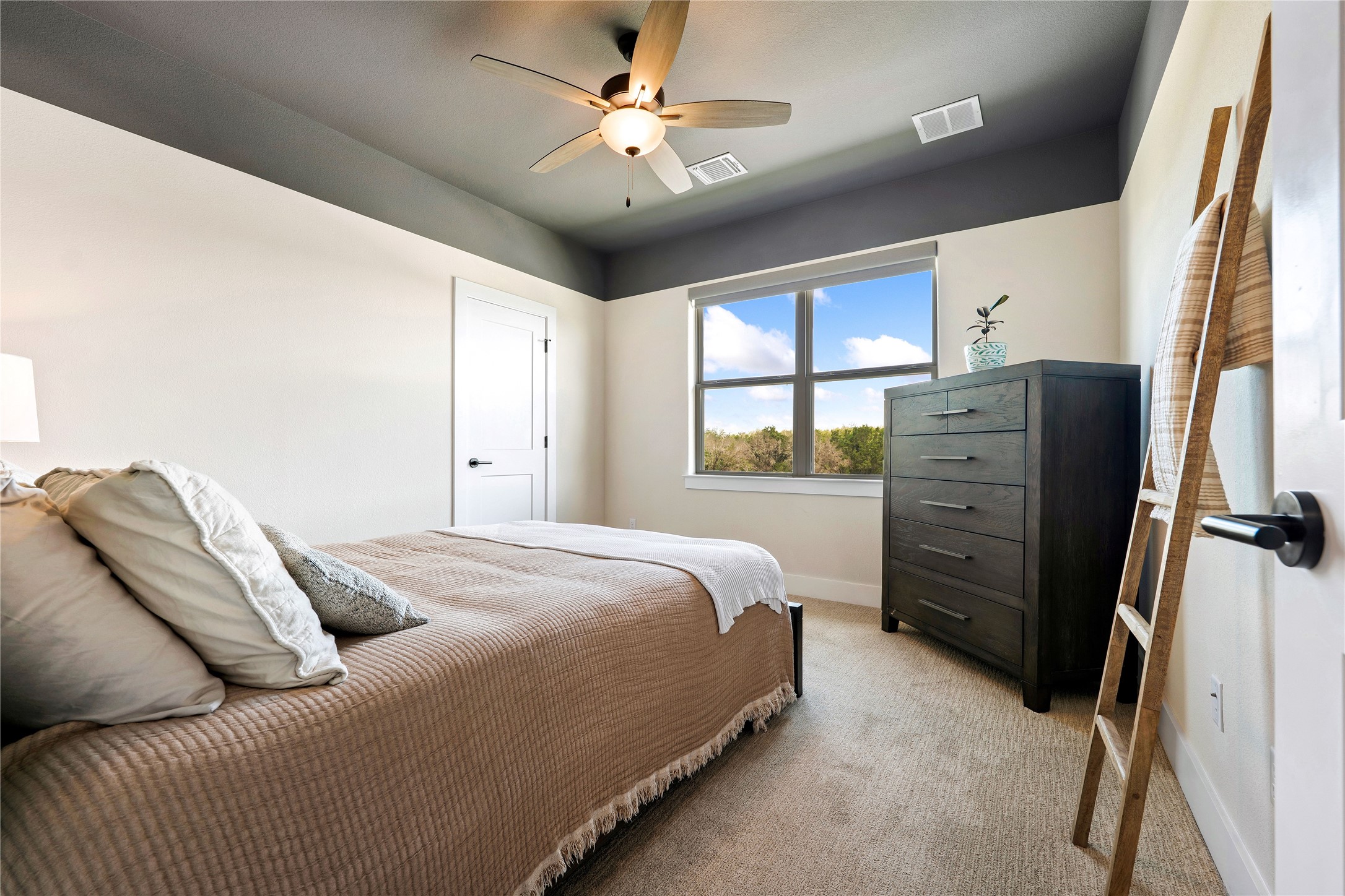 2408 Nate's Place Georgetown, TX 78633 - Photo 26 of 40 Natural light floods this inviting bedroom, featuring soft carpet and elevated ceilings with a ceiling fan.