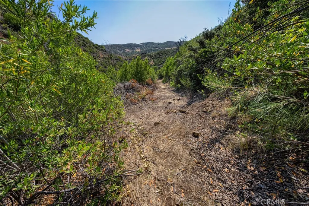1 Butts Canyon Road Pope Valley, CA 94567 - Photo 19 of 60 a view of a lush green forest with trees in the background