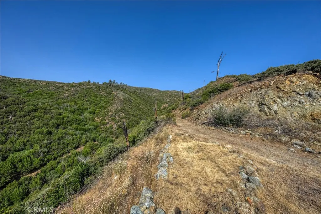 1 Butts Canyon Road Pope Valley, CA 94567 - Photo 27 of 60 a view of a large trees with mountains in the background