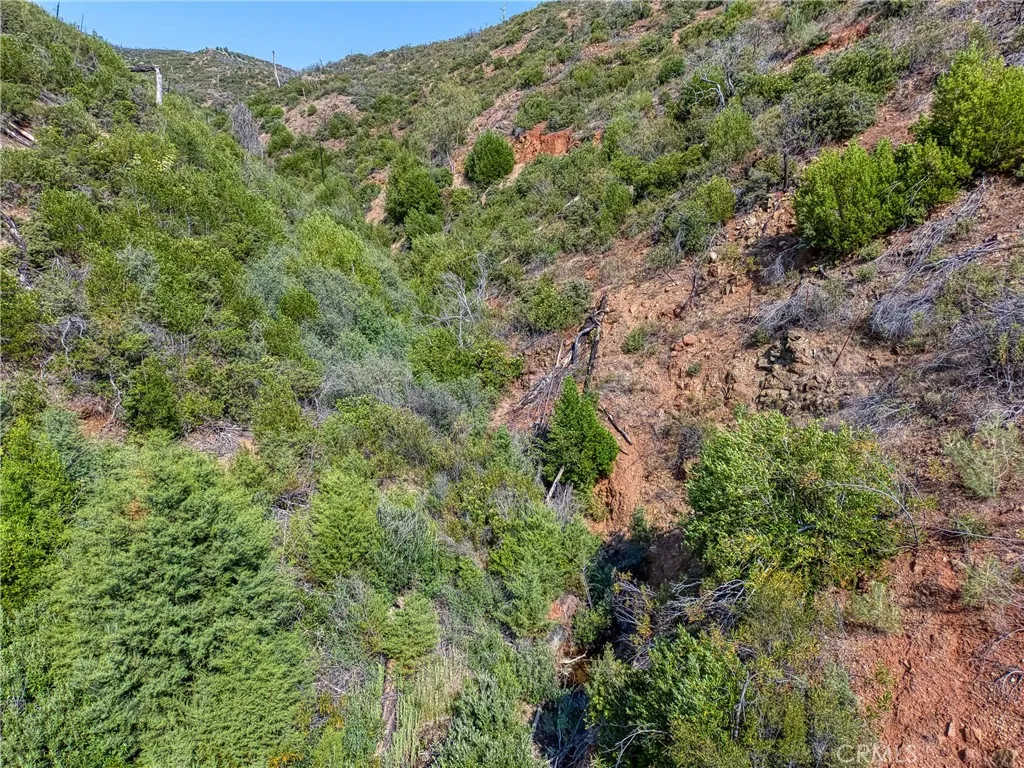 1 Butts Canyon Road Pope Valley, CA 94567 - Photo 46 of 60 a view of a forest with lush green forest