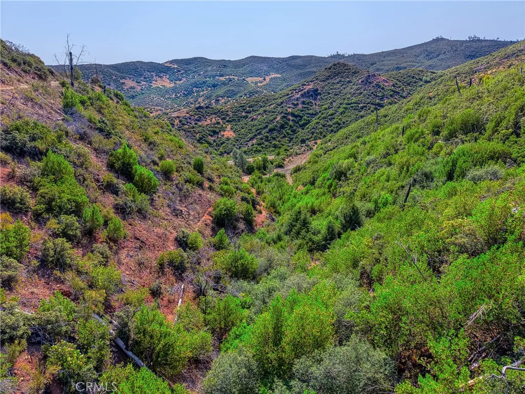 1 Butts Canyon Road Pope Valley, CA 94567 - Photo 50 of 60 view of a lush green hillside and a houses