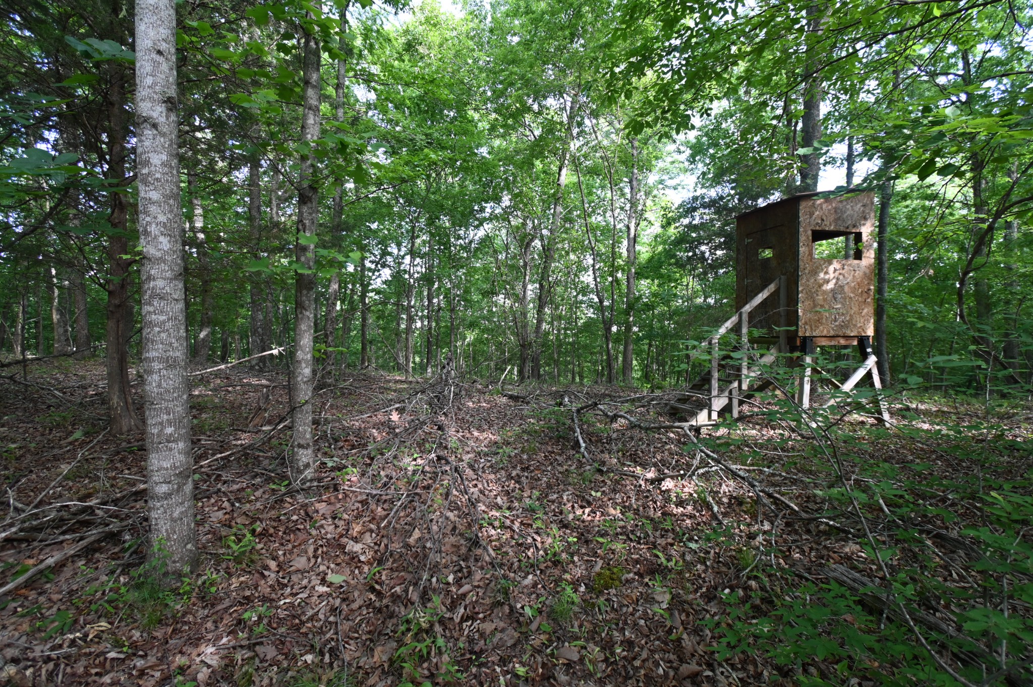 0 Lower Crooked Creek Road Lobelville, TN 37097 - Photo 1 of 25 a backyard of a house with lots of green space