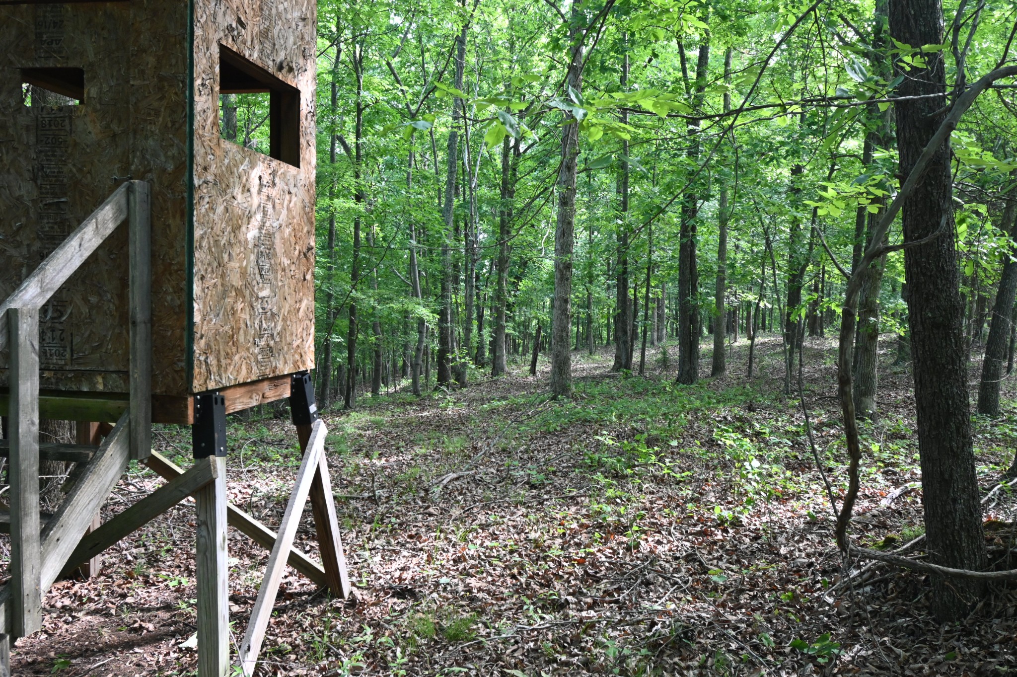 0 Lower Crooked Creek Road Lobelville, TN 37097 - Photo 15 of 25 a view of a backyard