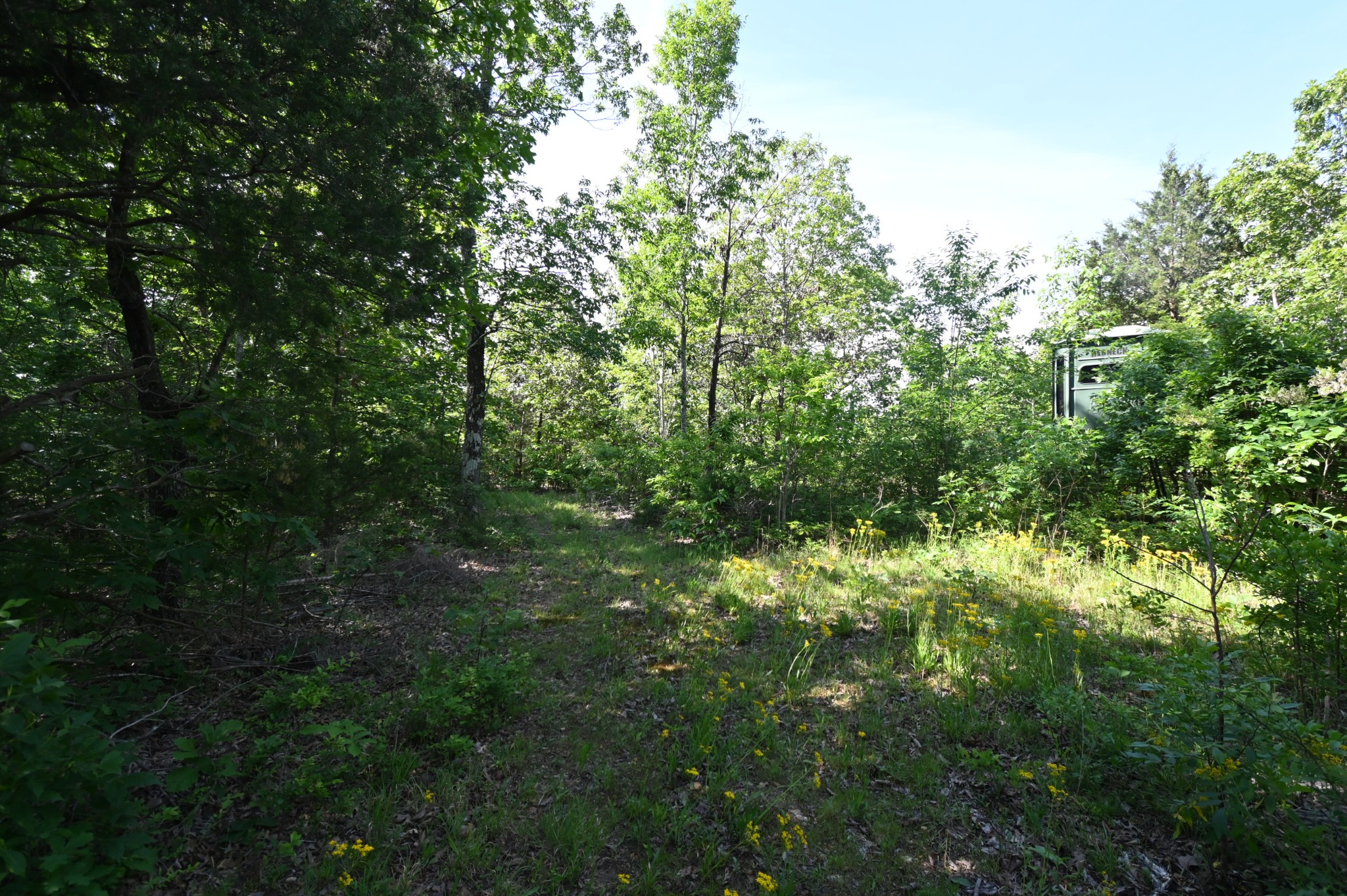 0 Lower Crooked Creek Road Lobelville, TN 37097 - Photo 23 of 25 a view of a lush green forest