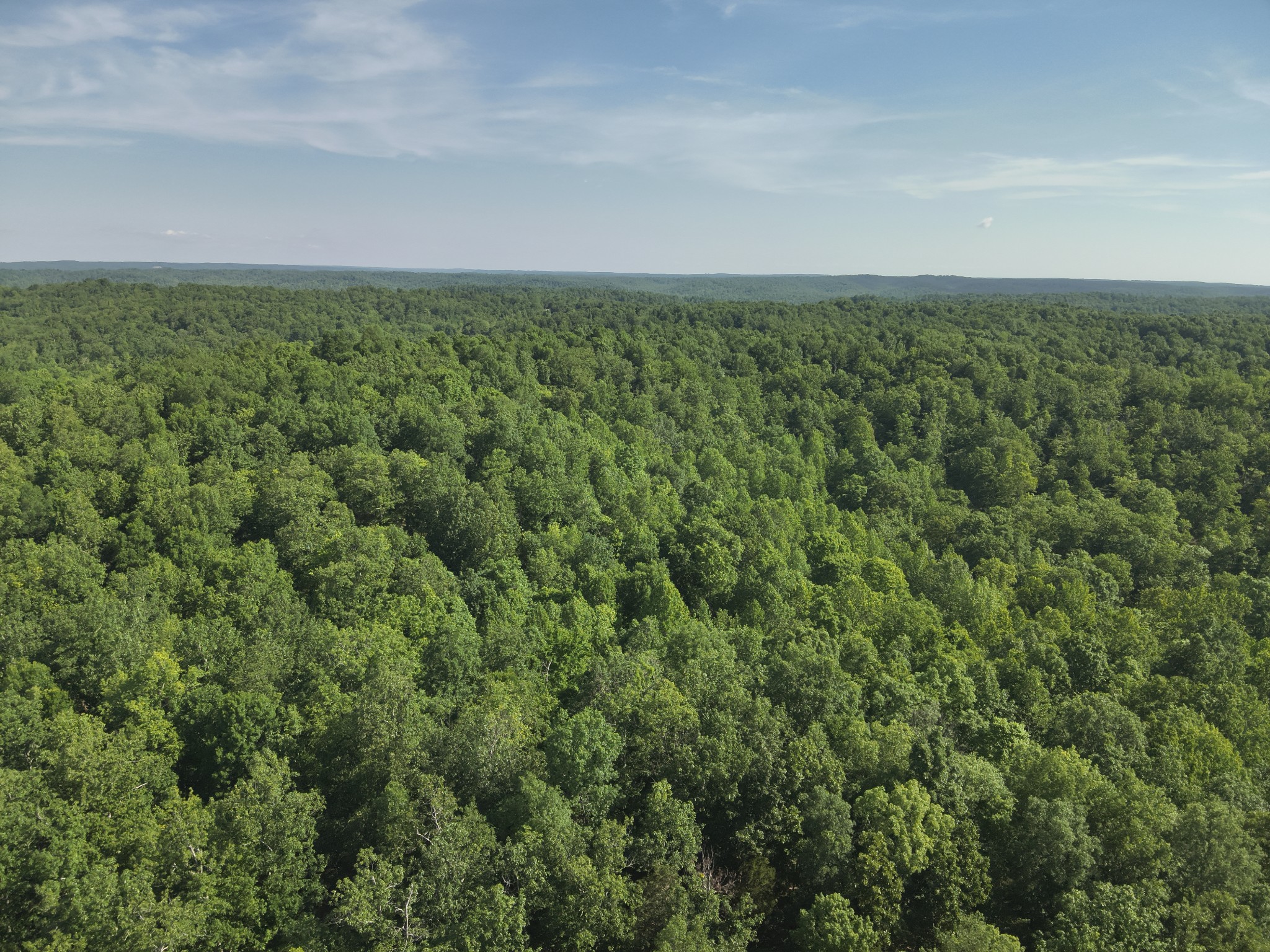 0 Lower Crooked Creek Road Lobelville, TN 37097 - Photo 25 of 25 an aerial view of a houses with trees