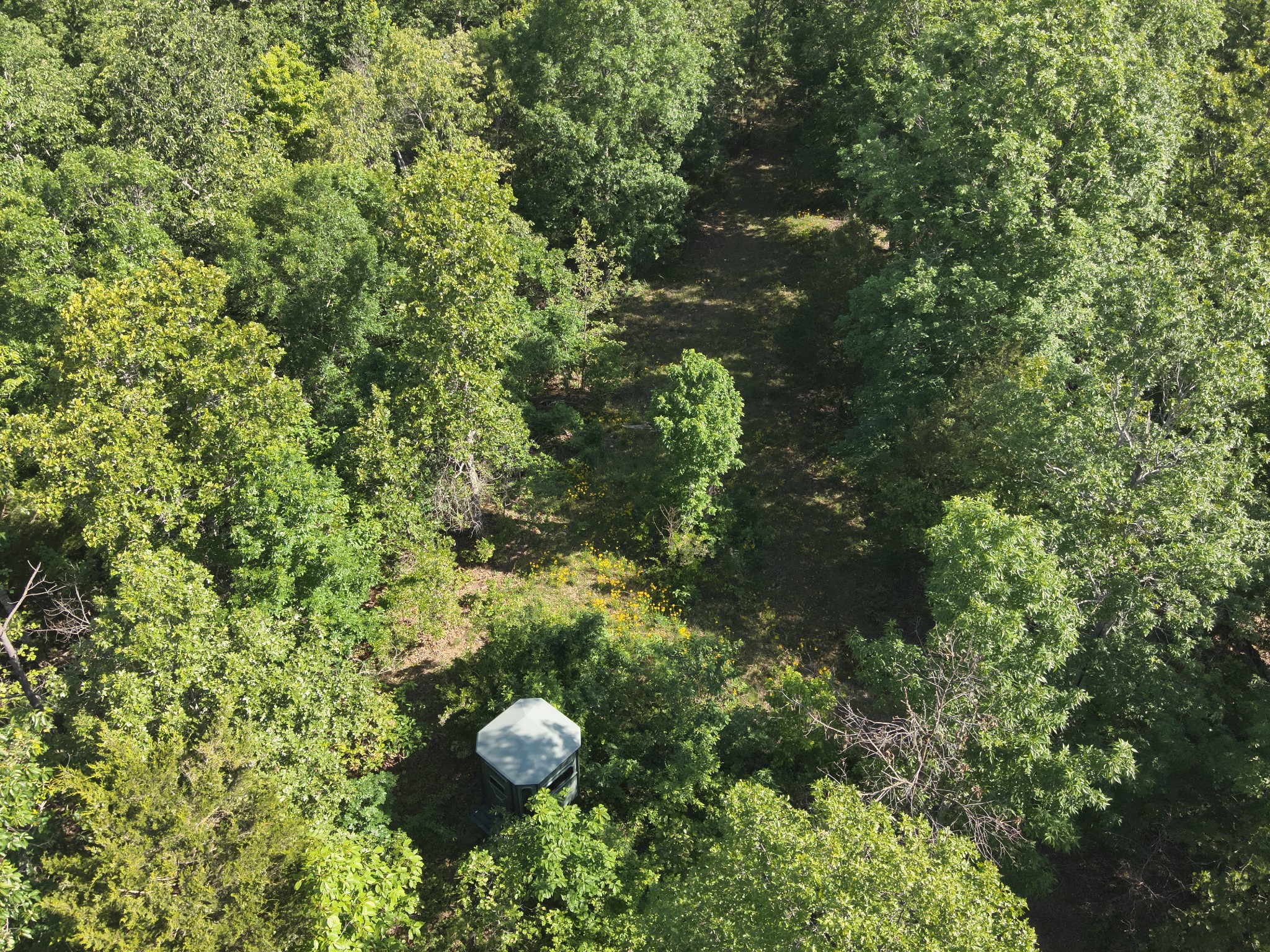 0 Lower Crooked Creek Road Lobelville, TN 37097 - Photo 5 of 25 a view of a yard
