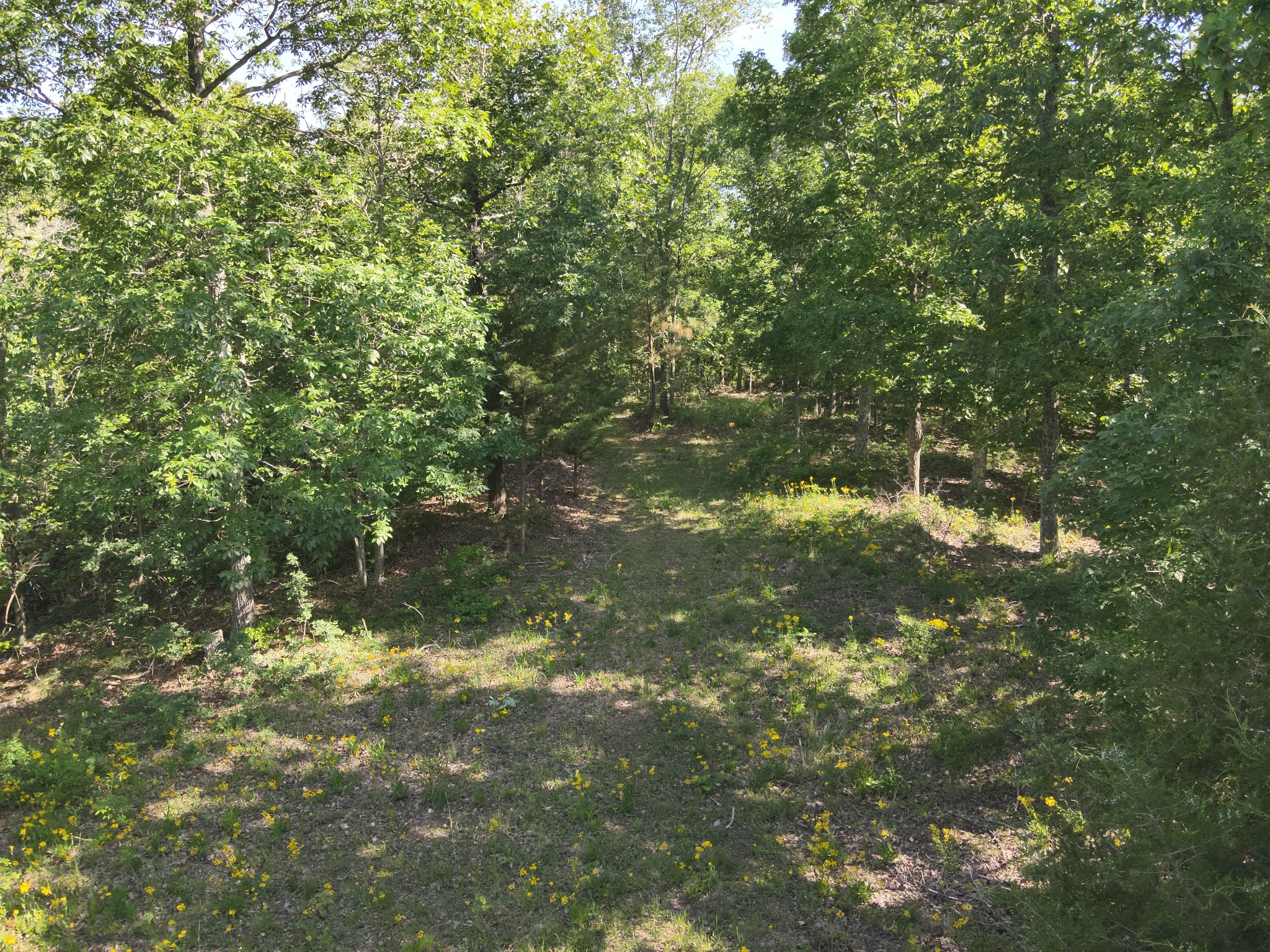 0 Lower Crooked Creek Road Lobelville, TN 37097 - Photo 6 of 25