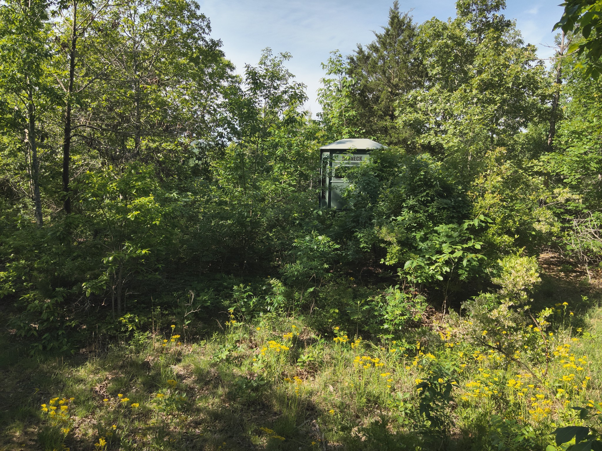 0 Lower Crooked Creek Road Lobelville, TN 37097 - Photo 7 of 25 a view of a garden