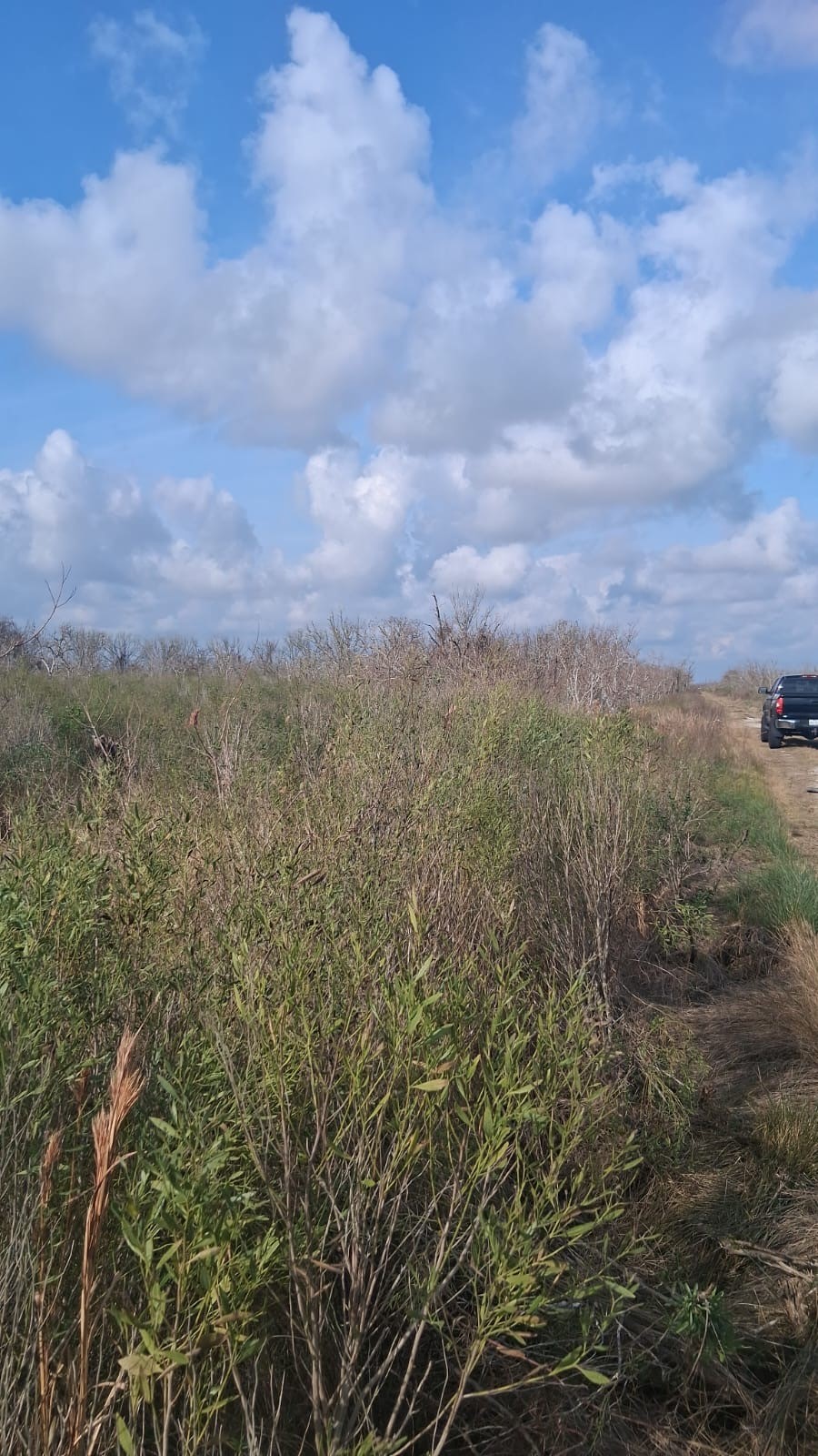 0 County Road 807 Angleton, TX 77515 - Photo 6 of 6