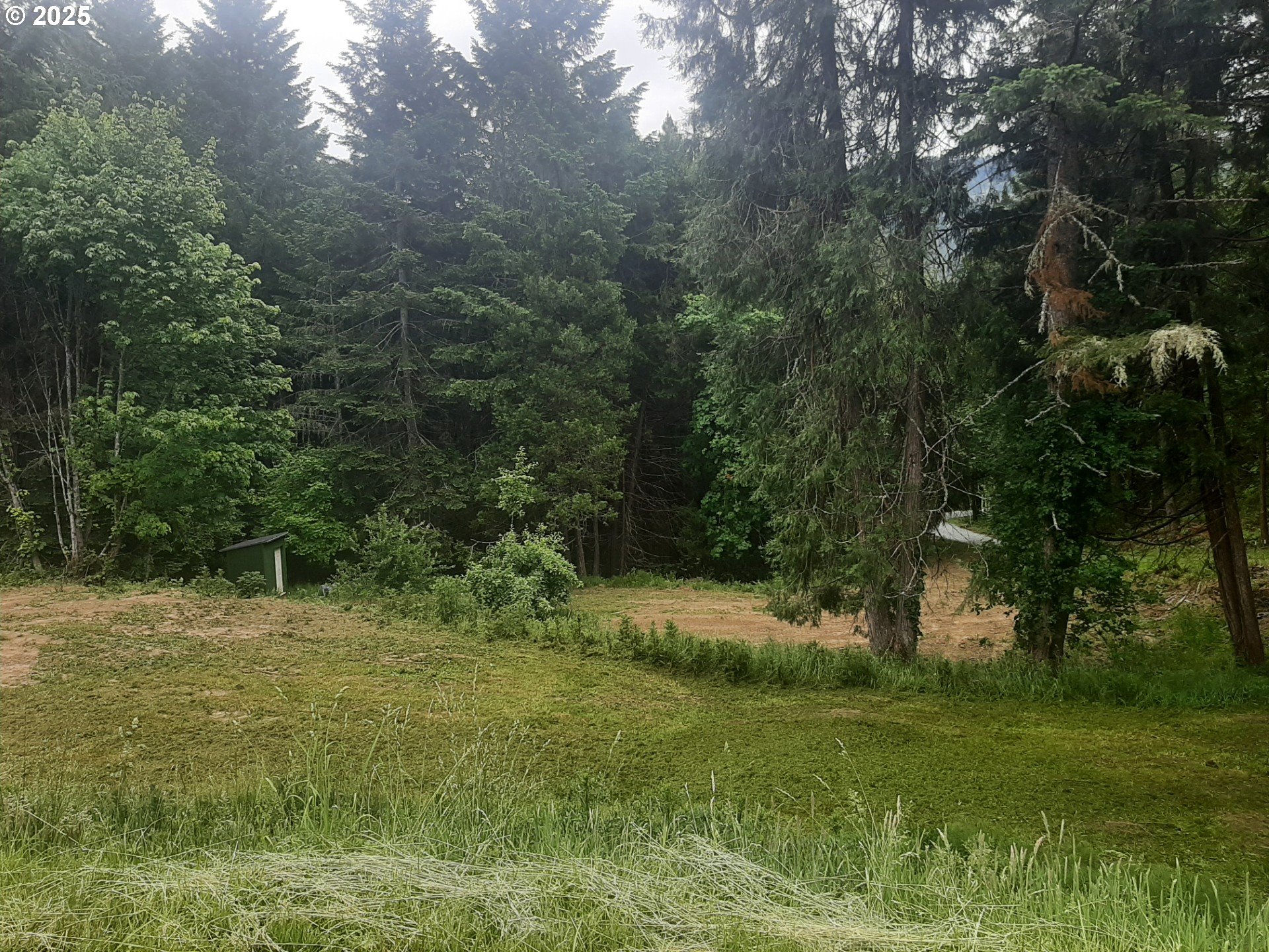 252 May Creek Road Days Creek, OR 97429 - Photo 5 of 35 a view of outdoor space and yard
