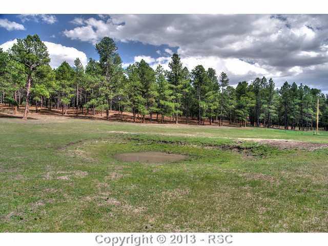 7055 Wildridge Road Colorado Springs, CO 80908 - Photo 24 of 25 Gallery Image 24