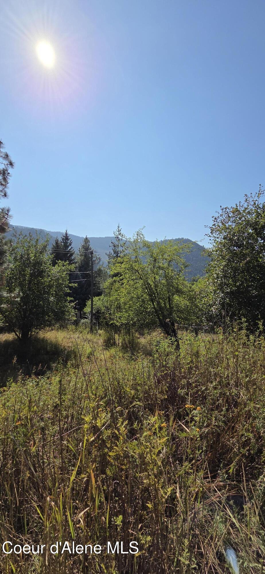 229 Rio Vista Street Osburn, ID 83849 - Photo 11 of 11 Full Sun in Back Yard