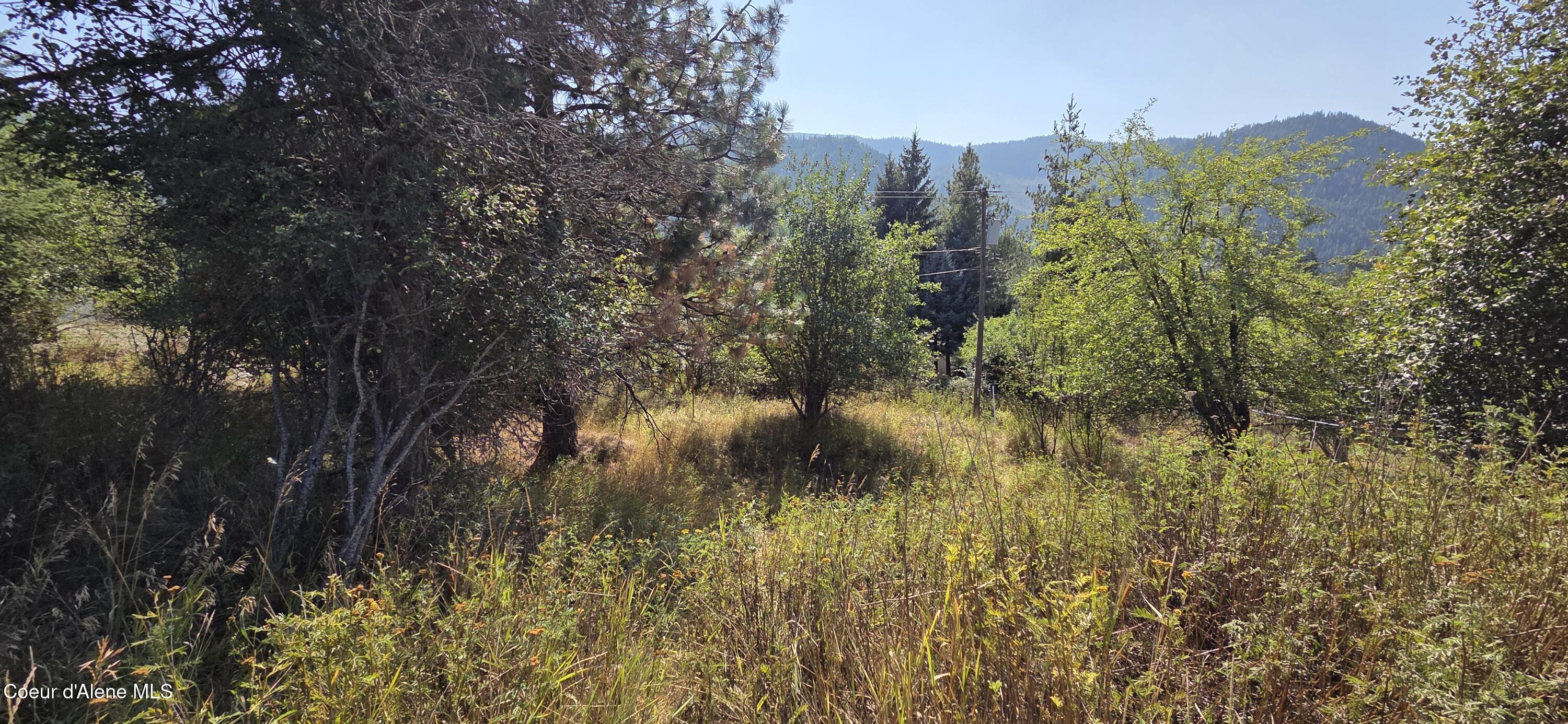 229 Rio Vista Street Osburn, ID 83849 - Photo 5 of 11 Back Yard