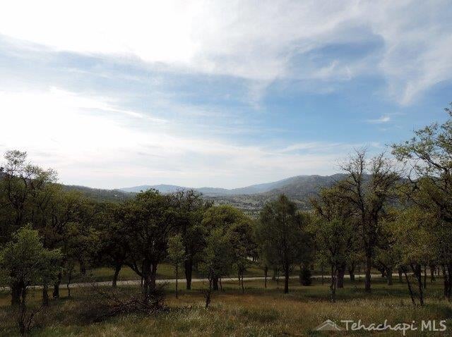 0 Rice Drive Tehachapi, CA 93561 - Photo 11 of 16 Gallery Image 11
