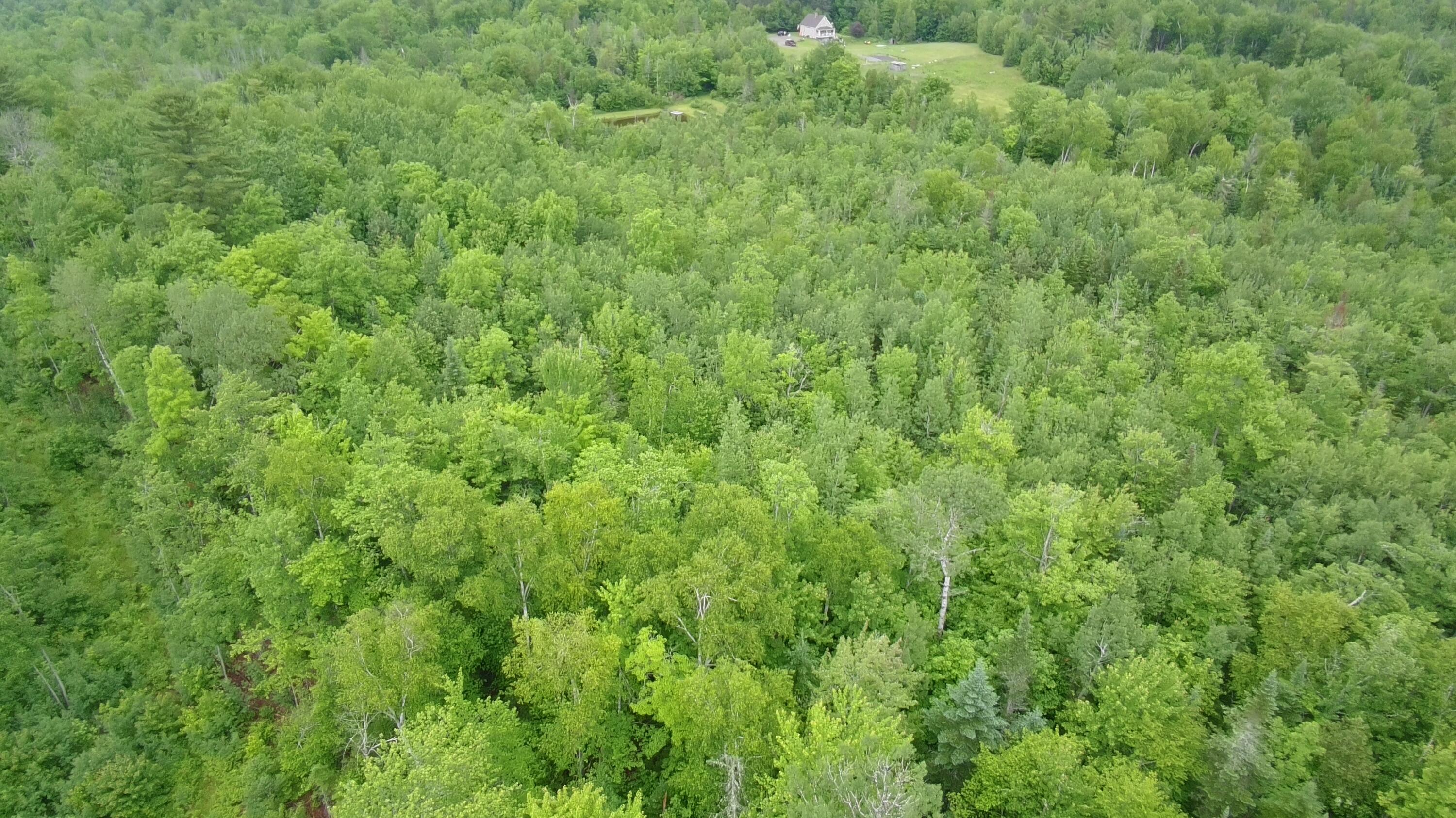 Tbd Trafton Road Parkman, ME 04443 - Photo 18 of 27 4599469_101DRONE_SING0151
