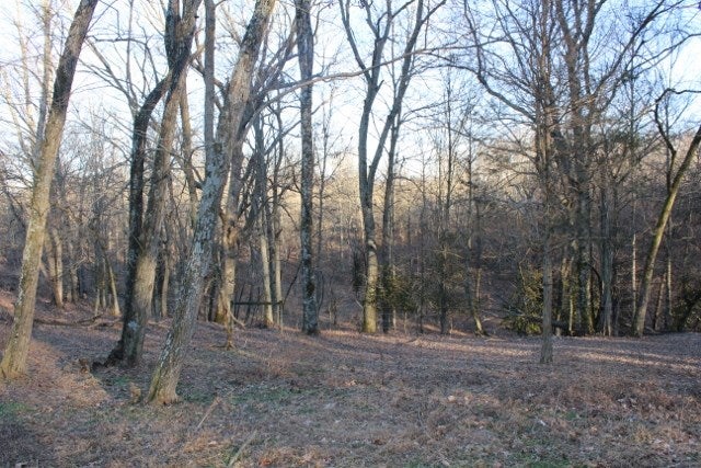 225 Fulkerson Road Horse Cave, KY 42749 - Photo 21 of 25 Gallery Image 21